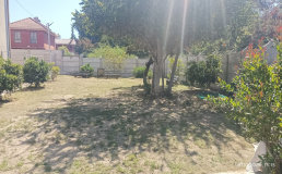 agencia005005.jpg